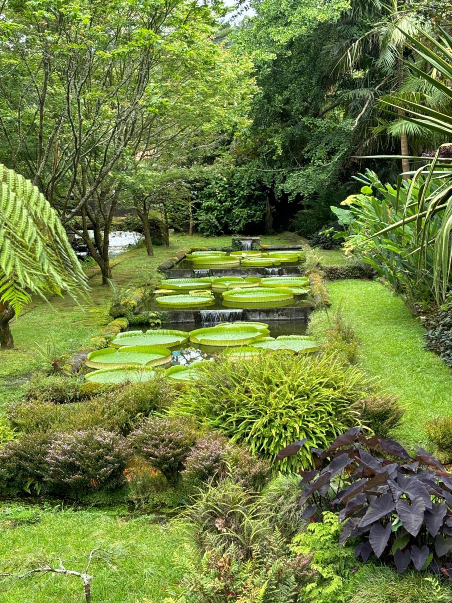 Quinta Das Palmeiras Povoacao  Exterior foto